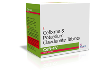 	CEFT-CV.png	is a pharma franchise products of Biosys Medisciences Ahmedabad Gujarat	