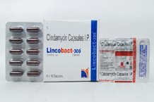 	LINCOBACT-300.jpg	is a pcd pharma products of nova indus pharma	