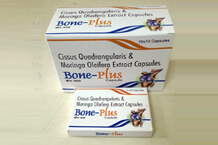 top pcd pharma company in Kolkata - (West Bengal) ORIENT PHARMACEUTICALS