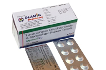 OLAMIC HEALTHCARE