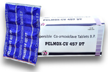 Pelzar Healthcare